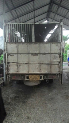 ขายรถบรรทุกคอกหมู Hino FC ปี49 150แรง ยาว5.5 รถพร้อมใช้งาน