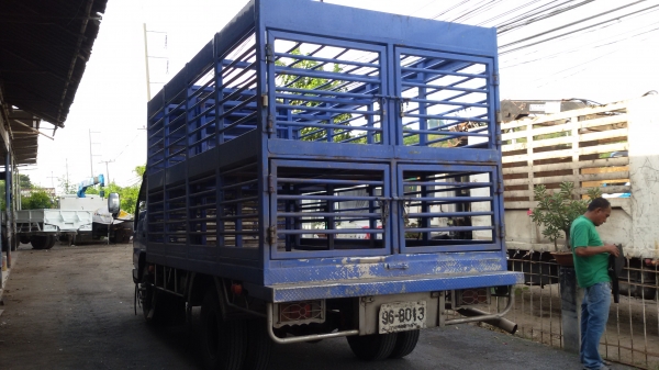 ขาย 6 ล้อ อีซูซุ