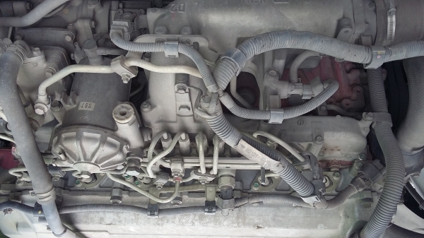 ขายด่วน