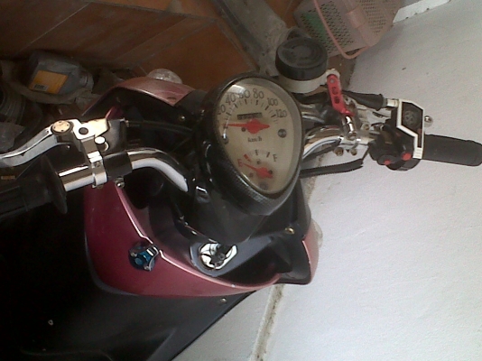 ขายฟีโน่ 15000