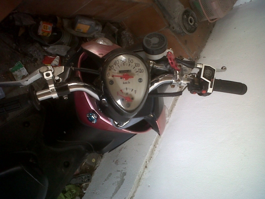ขายฟีโน่ 15000