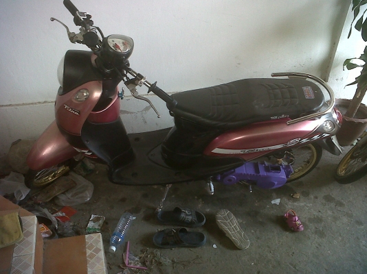 ขายฟีโน่ 15000