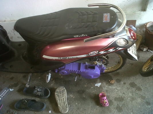 ขายฟีโน่ 15000
