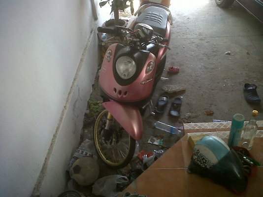 ขายฟีโน่ 15000