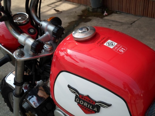 ขาย Gorila มีทะเบียน เอกสารพร้อมโอน ราคา 26,500 ต่อรองได้ครับ