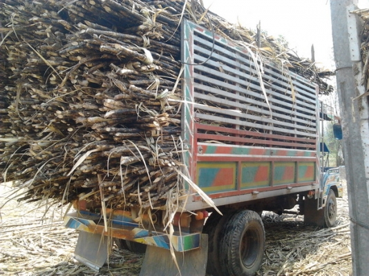 ขาย แต๋น6ล้อใหญ่ๆ ไม่ดั๊ม เครื่องใหม่ KUBOTA RT140+PLUS  14แรง ไม่มีเยิ้ม ช่วงล่างใหญ่ หน้า-หลัง NKR110 คัสซีหน้า5 วางเหล็กเสริมบนหน้า5 เกียร์ใหญ่ 115 เกียร์กลาง ROCKY !!! กระบะเหล็กทั้งลูก ยาว 3.8ม.กว้าง1.9ม.สูง1.7ม. สภาพดี พร้อมใช้ พร้อมลุยงานหนัก จัดอ้