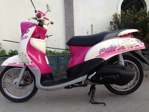 ขายfinoสีชมพูขาวปี2555