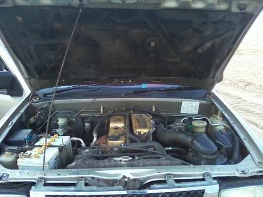 มังกรทอง แคป อยู่สารคาม มังกรทอง แคป อยู่สารคาม