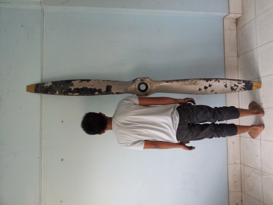 ขายใบพัดเครื่องบิน Bird Dog และ เครื่องยนต์ ของแท้