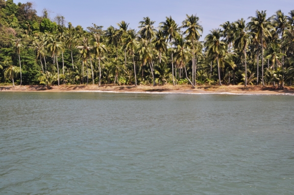 Private island for sale, Near the coast and Chang island, Trad in Thailand.