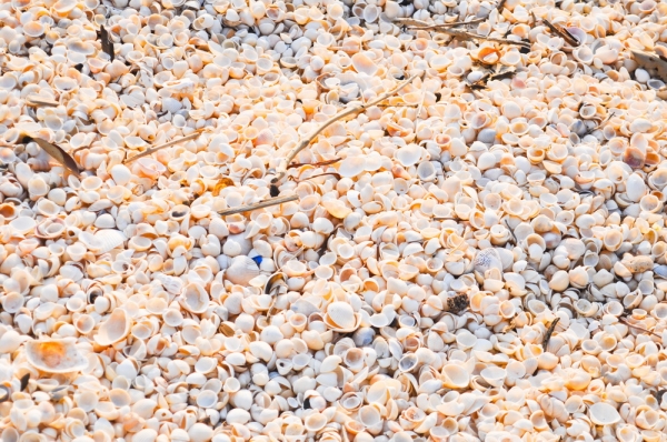 Private beach and a hill jutting out into the sea for sale. Cheap price ,Thailand Private beach and a hill jutting out into the sea for sale. Cheap price ,Thailand