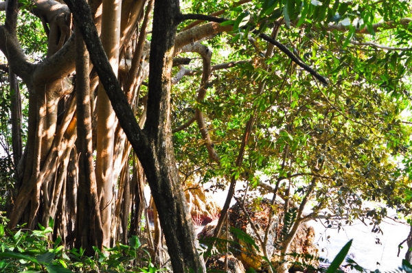 Private beach and a hill jutting out into the sea for sale. Cheap price ,Thailand Private beach and a hill jutting out into the sea for sale. Cheap price ,Thailand