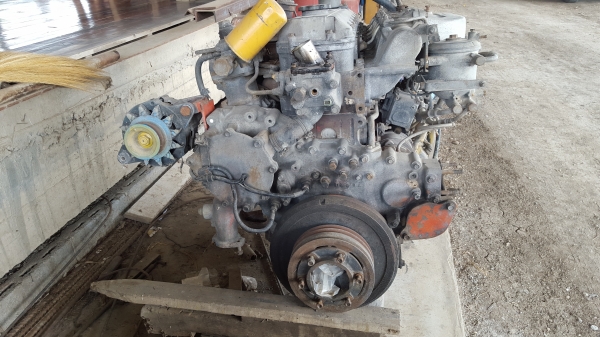 ขาย Hino P11C ขาย Hino P11C