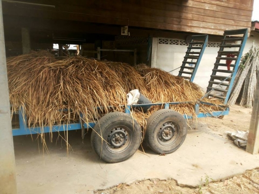 รถฝากขาย รถเกี่ยวข้าวคูโบต้า DC 60 PLUS นิ้วสปริง ปี 54 รถฝากขาย รถเกี่ยวข้าวคูโบต้า DC 60 PLUS นิ้วสปริง ปี 54