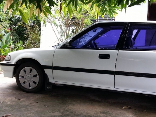 ซีวิคเดิมๆ ขายตามสภาพถูกมาก ซีวิคเดิมๆ ขายตามสภาพถูกมาก