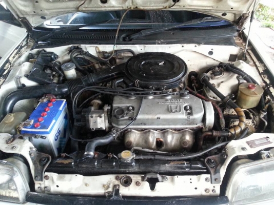 ซีวิคเดิมๆ ขายตามสภาพถูกมาก ซีวิคเดิมๆ ขายตามสภาพถูกมาก