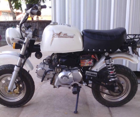 ขายกอลิล่า‬ สีขาว ยี่ห้อสตาเลี่ยน