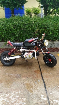 ขายกอลิล่า สีดำ ขายกอลิล่า สีดำ