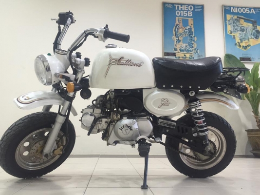 ขายกอลิล่า สตาเลี่ยน