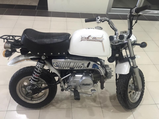 ขายกอลิล่า สตาเลี่ยน