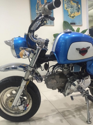 ขายกอลิล่า ยี่ห้อริวก้า ขายกอลิล่า ยี่ห้อริวก้า