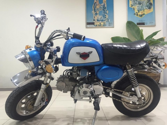 ขายกอลิล่า ยี่ห้อริวก้า