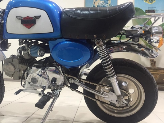 ขายกอลิล่า ยี่ห้อริวก้า ขายกอลิล่า ยี่ห้อริวก้า