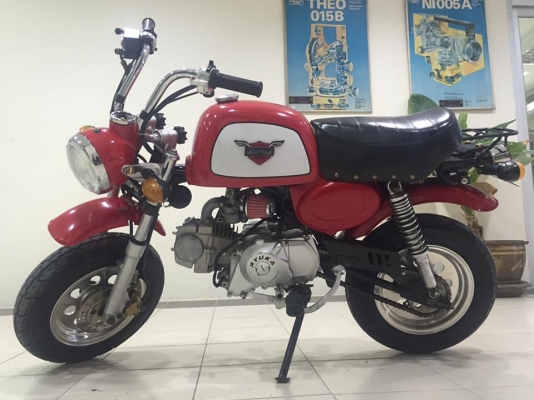 ขายกอลิล่า สีแดง ขายกอลิล่า สีแดง