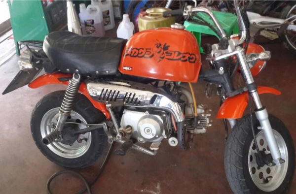 ขายกอลิล่า สีส้ม