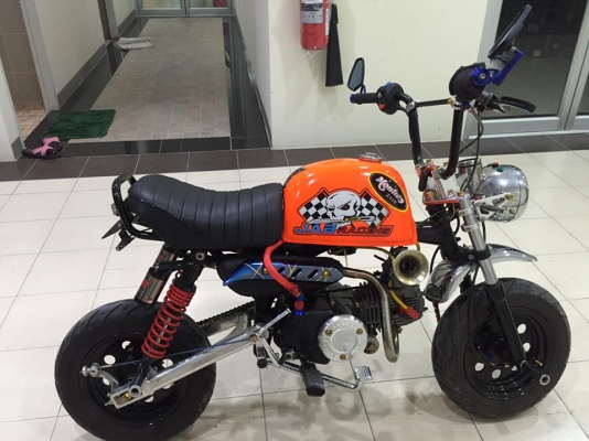 ขายกอลิล่า ยี่ห้อสตาเลี่ยน ขายกอลิล่า ยี่ห้อสตาเลี่ยน