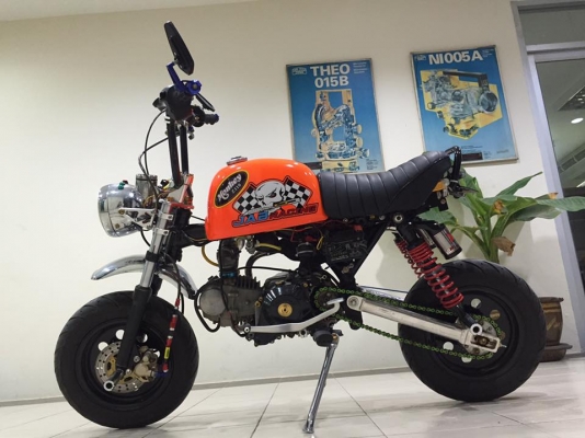 ขายกอลิล่า ยี่ห้อสตาเลี่ยน