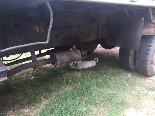 6 ล้อดั้ม 145 แรง ISUZU FSR11F รถห้างแท้ๆเดิม มีเพาเวอร์ แอร์เย็น เล่มม.79