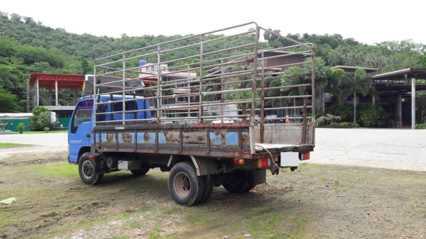 6 ล้อ  ISUZU  รุ่น  NKR71LY    4 สูบ   เทอร์โบ  130  แรงม้า จดทะเบียนปี 2548