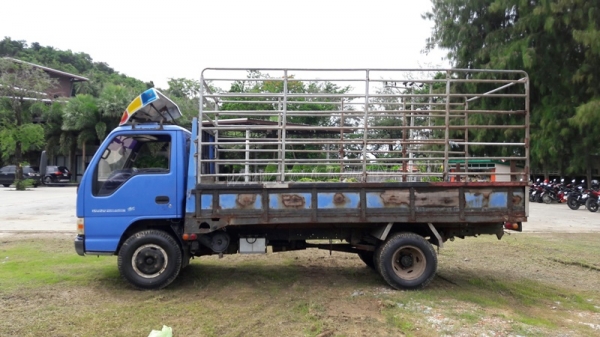 6 ล้อ  ISUZU  รุ่น  NKR71LY    4 สูบ   เทอร์โบ  130  แรงม้า จดทะเบียนปี 2548