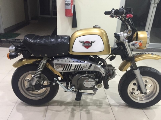 ขายกอลิล่า สีทอง ยี่ห้อเรียวก้า