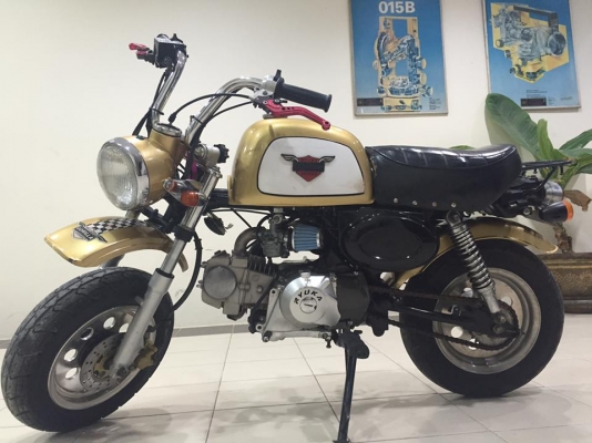 ขายกอลิล่า สีทอง ยี่ห้อเรียวก้า ขายกอลิล่า สีทอง ยี่ห้อเรียวก้า