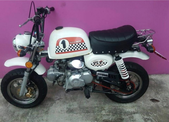 ขายกอลิล่า‬ สีขาว ยี่ห้อสตาเลี่ยน