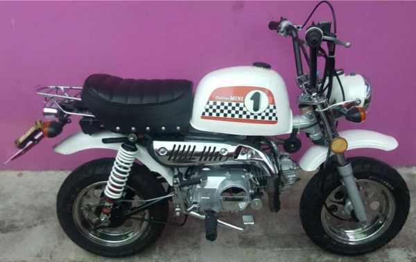 ขายกอลิล่า สีขาว ยี่ห้อสตาเลี่ยน ขายกอลิล่า สีขาว ยี่ห้อสตาเลี่ยน