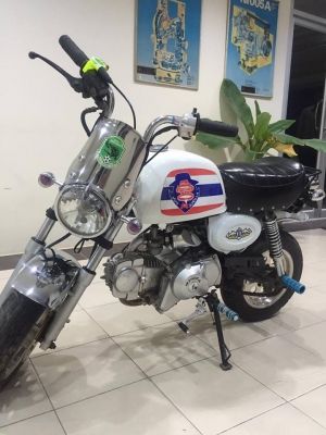 ขายกอลิล่าสีขาว ยี่ห้อเรียวก้า ขายกอลิล่าสีขาว ยี่ห้อเรียวก้า