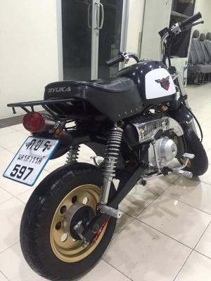 กอลิล่าสีดำ ยี่ห้อเรียวก้า กอลิล่าสีดำ ยี่ห้อเรียวก้า