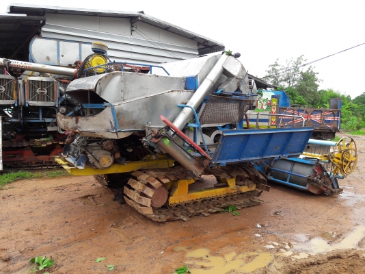 พรกินรีราคาเบาๆ พรกินรีราคาเบาๆ