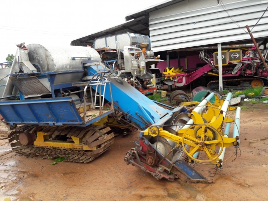 พรกินรีราคาเบาๆ