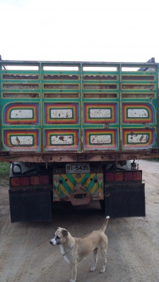 ขายสิบล้อดั๊มสองเพลาเมก้า 320  สวย ๆ เดิม ๆ  ครับ