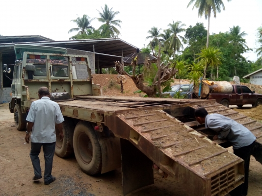 ปิดการขายแล้วคับ 10 ล้ออีโน่ FM 17. /2เพลา / เครื่อง EH700 168  แรงม้า/ สโลกลาง/เบรกเทปฟี่/เพาเวอร์/  ยางสวย/เครื่องดีมาก/พร้อใใช้งาน..เล่มติดมือ...