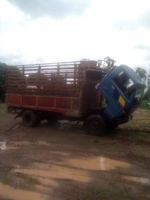 ขาย.  385000. บาท อิซูสุ  115แรงพร้อมใช้ เอกสารพร้อม