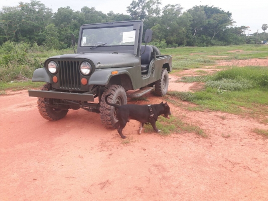 ขายด่วน จิ๊ปกบ CJ6