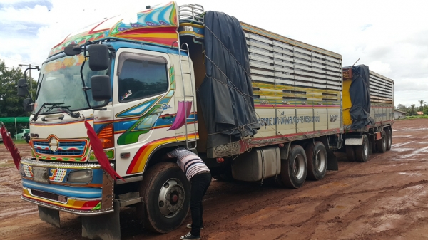 ขายรถ24 ล้อ แม่-ลูก กระบะเนียมคอกเกษตรดั้ม อู่.พรชัย HINO 320 ปี.47-49 รถสวย ราคา.2250000 สนใจรีบจองด่วน