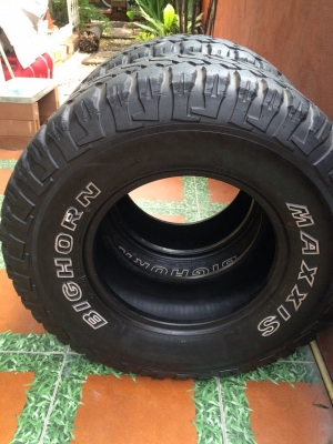 ยาง maxxis mud 31 ปี 12