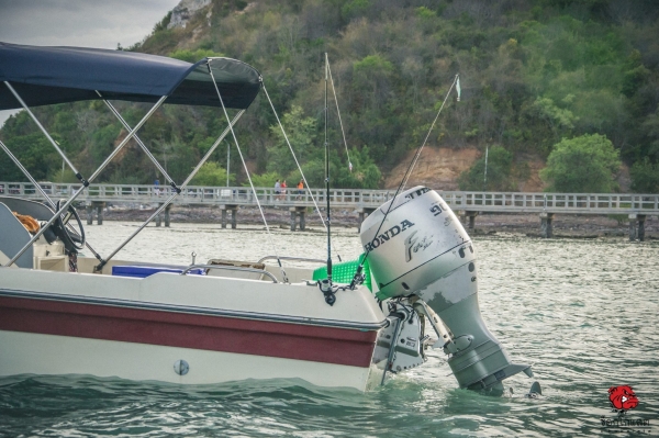 เรือตกปลา 20 ฟุต