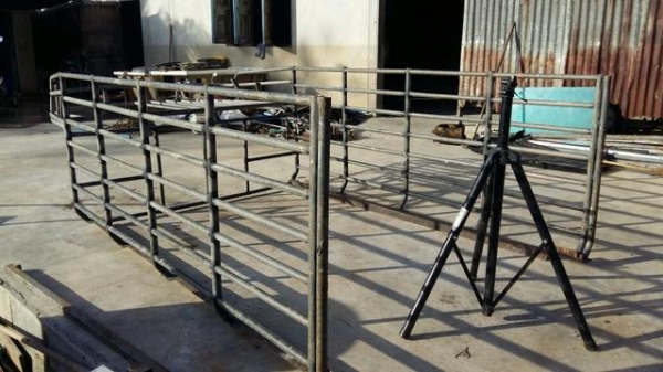 ขายคอกบิ๊กเอ็มหัวเดี่ยว